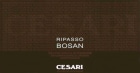 Gerardo Cesari S.p.A. Valpolicella Ripasso Superiore Bosan 2007 Front Label