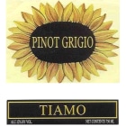 Tiamo Pinot Grigio 2007 Front Label