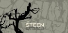 Leo Steen The Steen Jurassic Vineyard Chenin Blanc 2021  Front Label