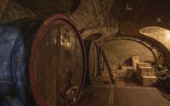 Bovio  Winery Image