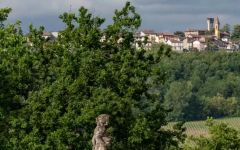 Tenuta La Giustiniana The Villa: An Exceptional Natural Site Winery Image