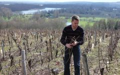 Domaine Gerard Fiou Gerard Fiou Pruning the Vines Winery Image