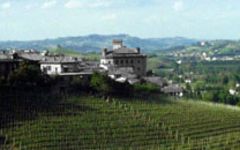 Francesco Borgogno Winery Image