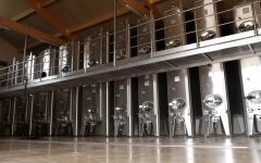 Christophe Cordier Winemaking Facility  Winery Image