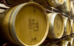 La Zorra Elevage Winery Image